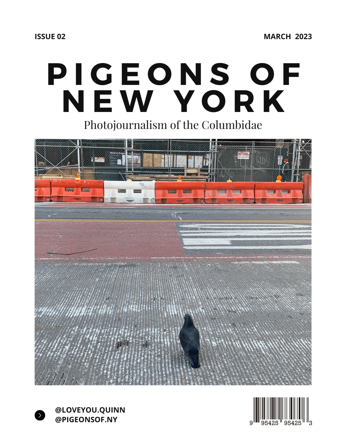 Pigeons of New York – March 2023&nbsp;Edition